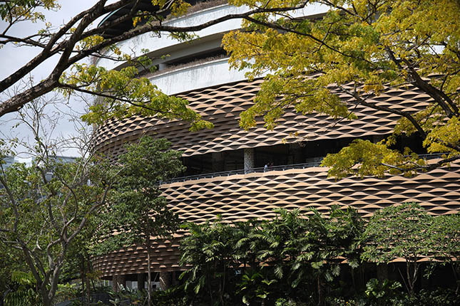 <em>Photo by Fabian Ong</em>